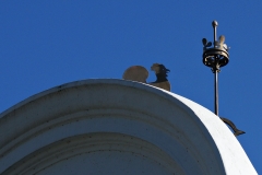 DSC02263